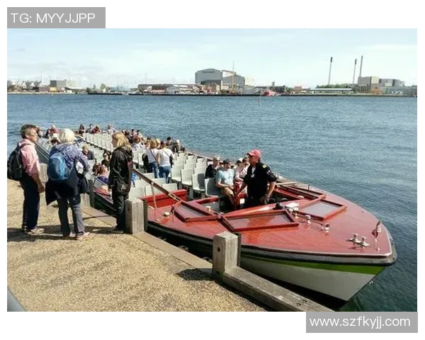 北欧足球新星崛起:聚焦斯堪的纳维亚球员在欧洲足坛的影响力