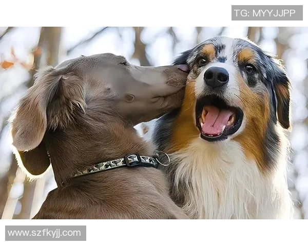 足球球星背后的鲜为人知的故事和隐藏的个人秘密揭秘